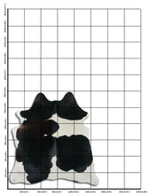 Įkelti vaizdą į galerijos rodinį, Baltas/Juodas karvės kailis M