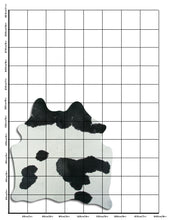Įkelti vaizdą į galerijos rodinį, Baltas/Juodas karvės kailis L