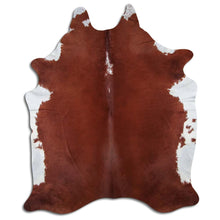 Įkelti vaizdą į galerijos rodinį, Rudas karvės kailis XL