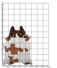 Įkelti vaizdą į galerijos rodinį, Rudas karvės kailis L