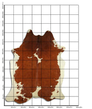 Įkelti vaizdą į galerijos rodinį, Rudas karvės kailis XXL