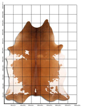 Įkelti vaizdą į galerijos rodinį, Rudas karvės kailis XXXXL