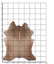 Įkelti vaizdą į galerijos rodinį, Šampaninis karvės kailis XL