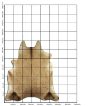 Įkelti vaizdą į galerijos rodinį, Šampaninis karvės kailis L