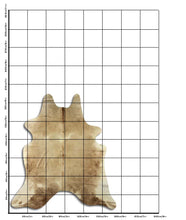 Įkelti vaizdą į galerijos rodinį, Šampaninis karvės kailis M