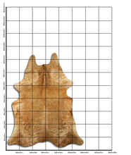 Įkelti vaizdą į galerijos rodinį, Egzotinis karvės kailis XL