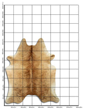 Įkelti vaizdą į galerijos rodinį, Egzotinis karvės kailis XL