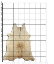 Įkelti vaizdą į galerijos rodinį, Šampaninis karvės kailis XL