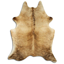 Įkelti vaizdą į galerijos rodinį, Egzotinis karvės kailis XL