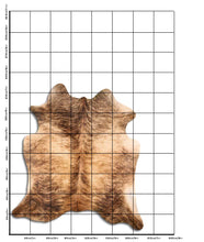 Įkelti vaizdą į galerijos rodinį, Egzotinis karvės kailis XL