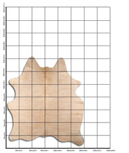 Įkelti vaizdą į galerijos rodinį, Šampaninis karvės kailis L