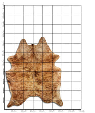 Įkelti vaizdą į galerijos rodinį, Egzotinis karvės kailis XL