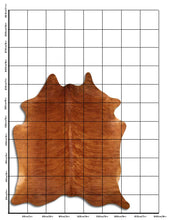 Įkelti vaizdą į galerijos rodinį, Egzotinis karvės kailis XL