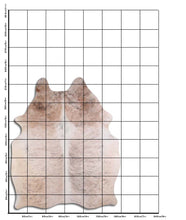 Įkelti vaizdą į galerijos rodinį, Pilkas karvės kailis XL