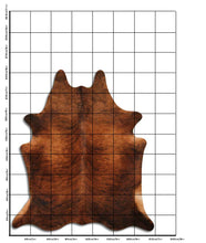 Įkelti vaizdą į galerijos rodinį, Egzotinis karvės kailis XXL