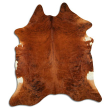 Įkelti vaizdą į galerijos rodinį, Egzotinis karvės kailis XXL