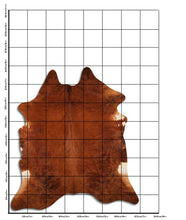 Įkelti vaizdą į galerijos rodinį, Egzotinis karvės kailis XXL