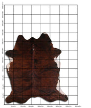 Įkelti vaizdą į galerijos rodinį, Egzotinis karvės kailis XXL