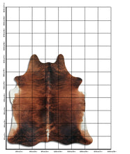 Įkelti vaizdą į galerijos rodinį, Egzotinis karvės kailis XL