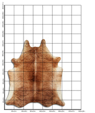 Įkelti vaizdą į galerijos rodinį, Egzotinis karvės kailis XL