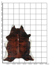 Įkelti vaizdą į galerijos rodinį, Egzotinis karvės kailis XL