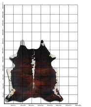 Įkelti vaizdą į galerijos rodinį, Egzotinis karvės kailis "Belly Backbone" XL