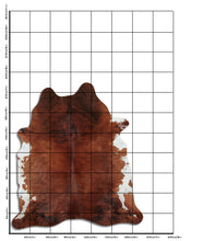 Įkelti vaizdą į galerijos rodinį, Egzotinis karvės kailis XL