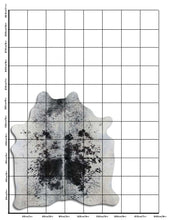 Įkelti vaizdą į galerijos rodinį, Salt and Pepper egzotinis karvės kailis L