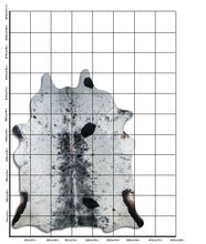 Įkelti vaizdą į galerijos rodinį, Salt and Pepper egzotinis karvės kailis XXL