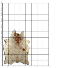 Įkelti vaizdą į galerijos rodinį, Salt and Pepper egzotinis karvės kailis M