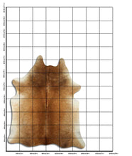 Įkelti vaizdą į galerijos rodinį, Rudas karvės kailis XL