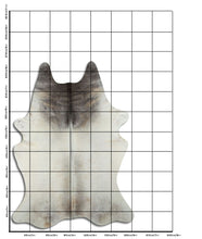 Įkelti vaizdą į galerijos rodinį, Pilkas karvės kailis XXXL