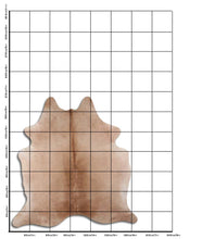 Įkelti vaizdą į galerijos rodinį, Šampaninis karvės kailis L