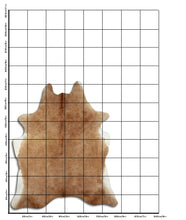 Įkelti vaizdą į galerijos rodinį, Rudas karvės kailis XL