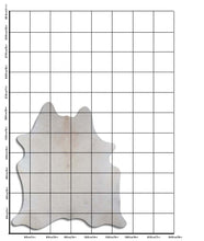 Įkelti vaizdą į galerijos rodinį, Šampaninis karvės kailis L