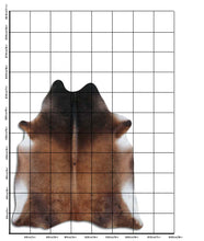 Įkelti vaizdą į galerijos rodinį, Rudas karvės kailis XL