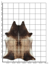 Įkelti vaizdą į galerijos rodinį, Šampaninis karvės kailis XL