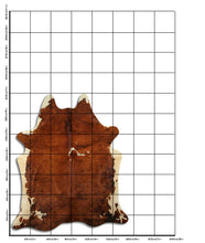 Įkelti vaizdą į galerijos rodinį, Egzotinis karvės kailis L