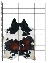 Įkelti vaizdą į galerijos rodinį, Trispalvis karvės kailis XXL
