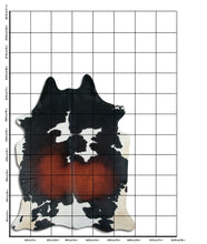 Įkelti vaizdą į galerijos rodinį, Trispalvis karvės kailis XXL