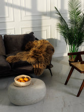 Įkelti vaizdą į galerijos rodinį, Islandiškas avikailis “Amber”