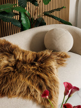 Įkelti vaizdą į galerijos rodinį, Islandiškas avikailis “Amber”