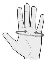 Įkelti vaizdą į galerijos rodinį, Avikailio pirštinės