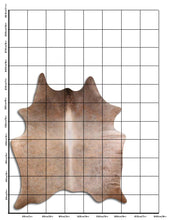 Įkelti vaizdą į galerijos rodinį, Šampaninis karvės kailis XL