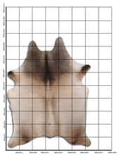 Įkelti vaizdą į galerijos rodinį, Šampaninis karvės kailis XXXL