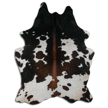 Įkelti vaizdą į galerijos rodinį, Trispalvis karvės kailis XXL
