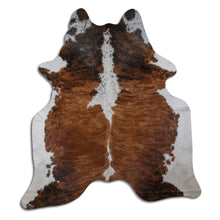 Įkelti vaizdą į galerijos rodinį, Egzotinis karvės kailis XXL