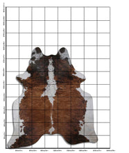 Įkelti vaizdą į galerijos rodinį, Egzotinis karvės kailis XXL