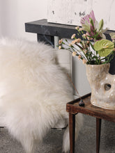 Įkelti vaizdą į galerijos rodinį, Baltas islandiškas avikailis