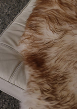 Įkelti vaizdą į galerijos rodinį, Muflono avikailis iš arti